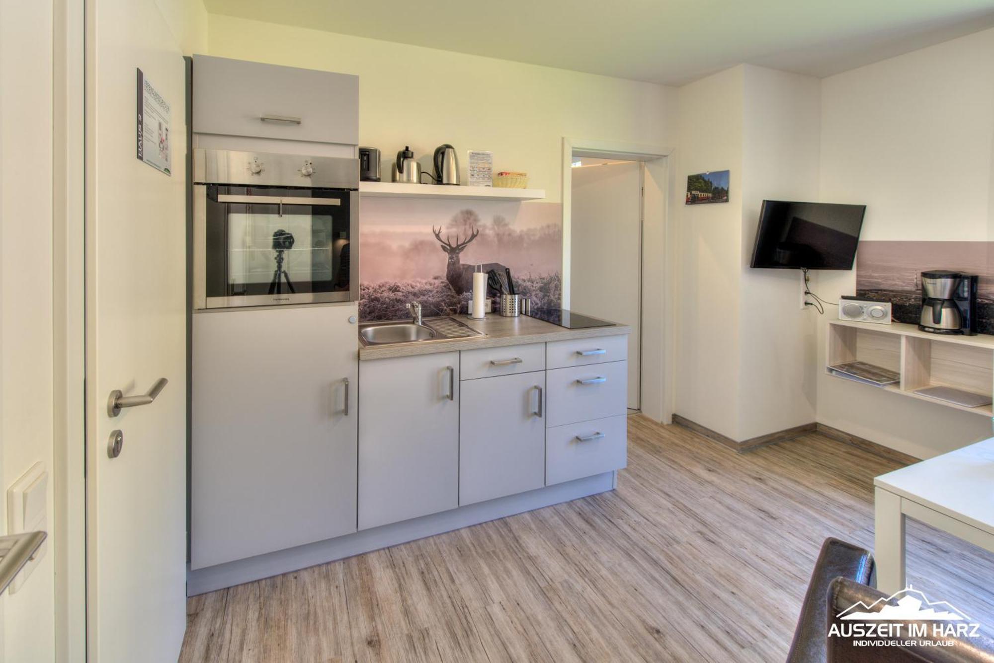 Auszeit-Im-Harz Haus 2 Wohnung 4 Schierke Eksteriør billede